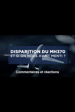 Disparition du MH370: Et si on nous avait menti? (2019)