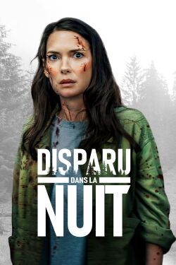 Disparu dans la nuit (2022)