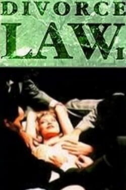 Divorce Law (1993)