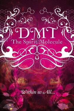 DMT : The Spirit Molecule (2010)