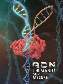 DNA: Custom Humanity (2018)