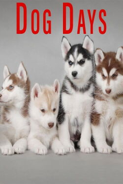 Dog Days (2016)
