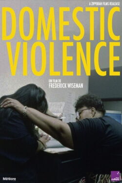 Domestic Violence (2001)