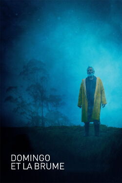 Domingo et la Brume (2022)