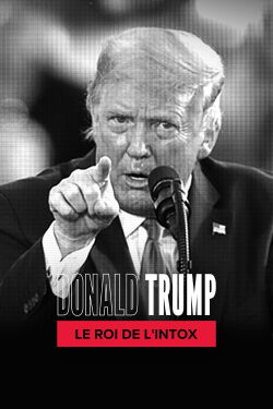 Donald Trump : le roi de l'intox (2020)