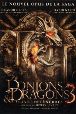 Donjons & Dragons 3 : Le Livre des Ténèbres (2012)