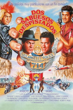 Dos sabuesos despistados (1987)