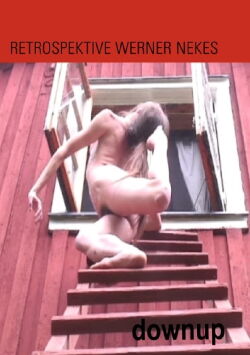 Downup (2010)