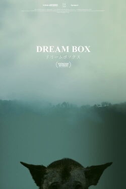 Dream Box (2017)