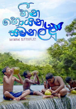 Dreaming Butterflies (2017)