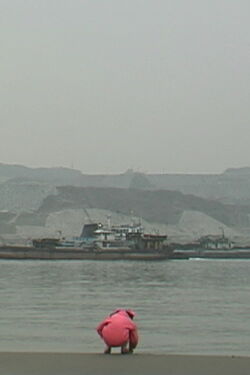Dreams of Changjiang (1998)