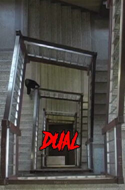 Dual (2009)