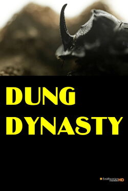 Dung Dynasty (2020)
