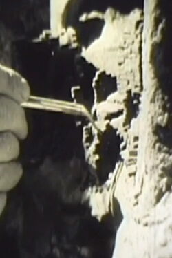 Dwellings (1972)