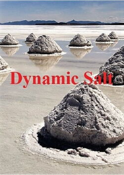 Dynamic Salt (2015)