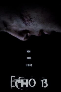 Echo 13 (2017)
