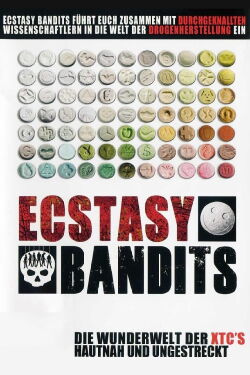 Ecstasy Bandits (2010)