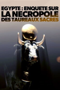 Égypte - Enquête sur la nécropole des taureaux sacrés (2023)