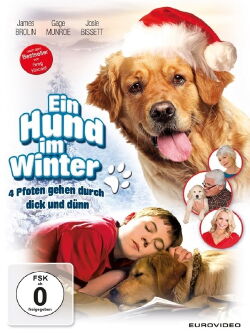 Ein Hund im Winter (2013)
