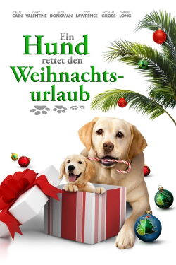 Ein Hund rettet den Weihnachtsurlaub (2012)