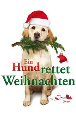 Ein Hund rettet Weihnachten (2009)