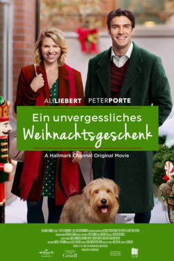 Ein unvergessliches Weihnachtsgeschenk (2017)