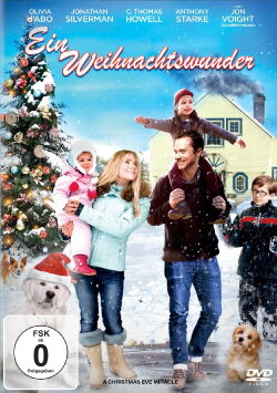 Ein Weihnachtswunder (2015)