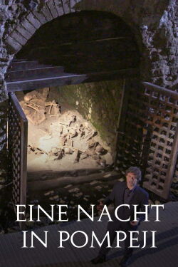 Eine Nacht in Pompeji (2018)