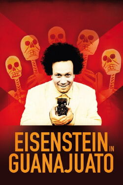 Eisenstein in Guanajuato (2015)