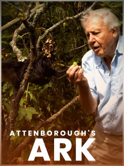 El Arca de David Attenborough (2012)