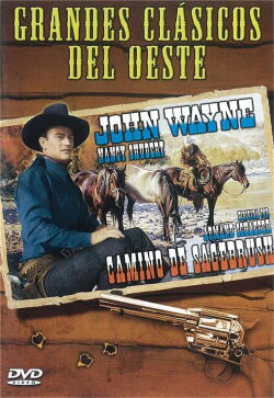 El camino de Sagebrush (1933)