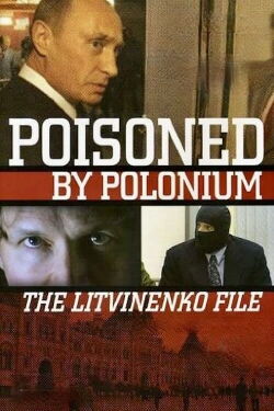 El caso Litvinenko (2007)