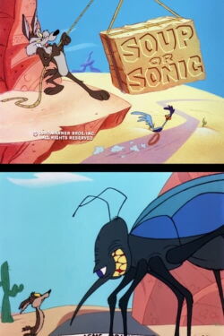 El Coyote y el Correcaminos: Soup or Sonic (1980)