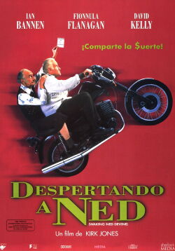 El divino Ned (1998)