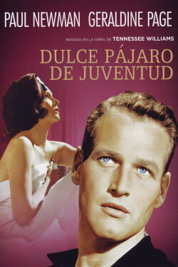 El dulce pájaro de la juventud (1962)