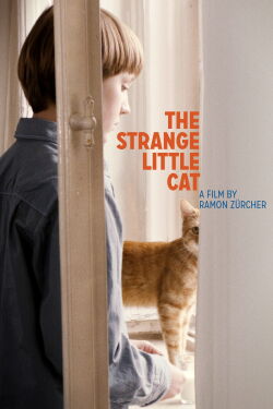 El extraño gatito (2013)