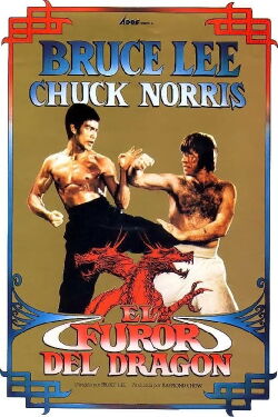 El furor del dragón (1972)