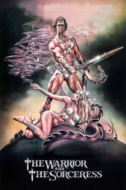 El guerrero y la hechicera (1984)