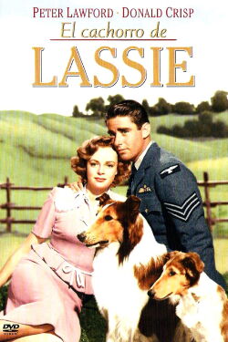 El hijo de Lassie (1945)