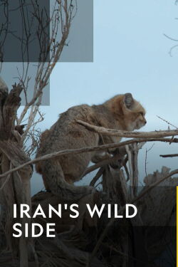 El lado salvaje de Irán (2019)