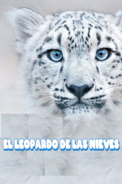 El leopardo de las nieves (2021)