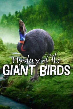 El misterio de las aves prehistóricas (2025)