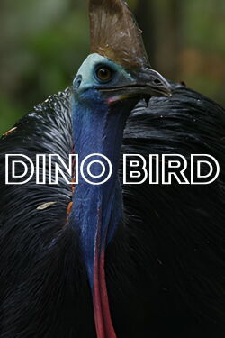 El Pajaro Dinosaurio (2017)
