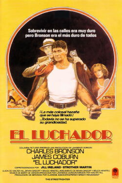 El peleador callejero (1975)