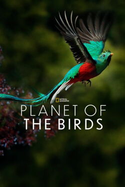El planeta de los pájaros (2018)