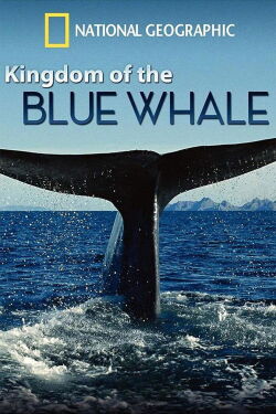 El Reino de la Ballena Azul (2009)