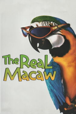 El tesoro de la isla de coral (1998)