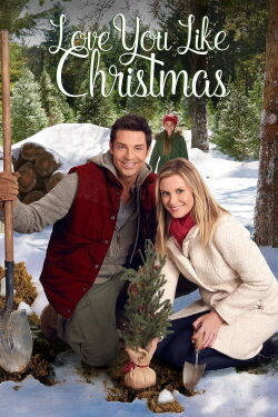 El valle de la Navidad (2016)
