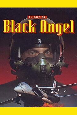 El vuelo del ángel negro (1991)