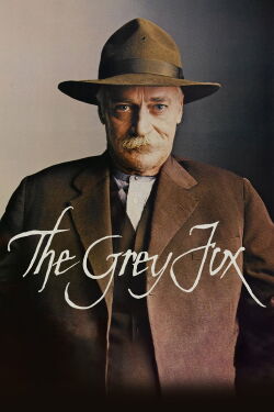 El zorro gris (1982)